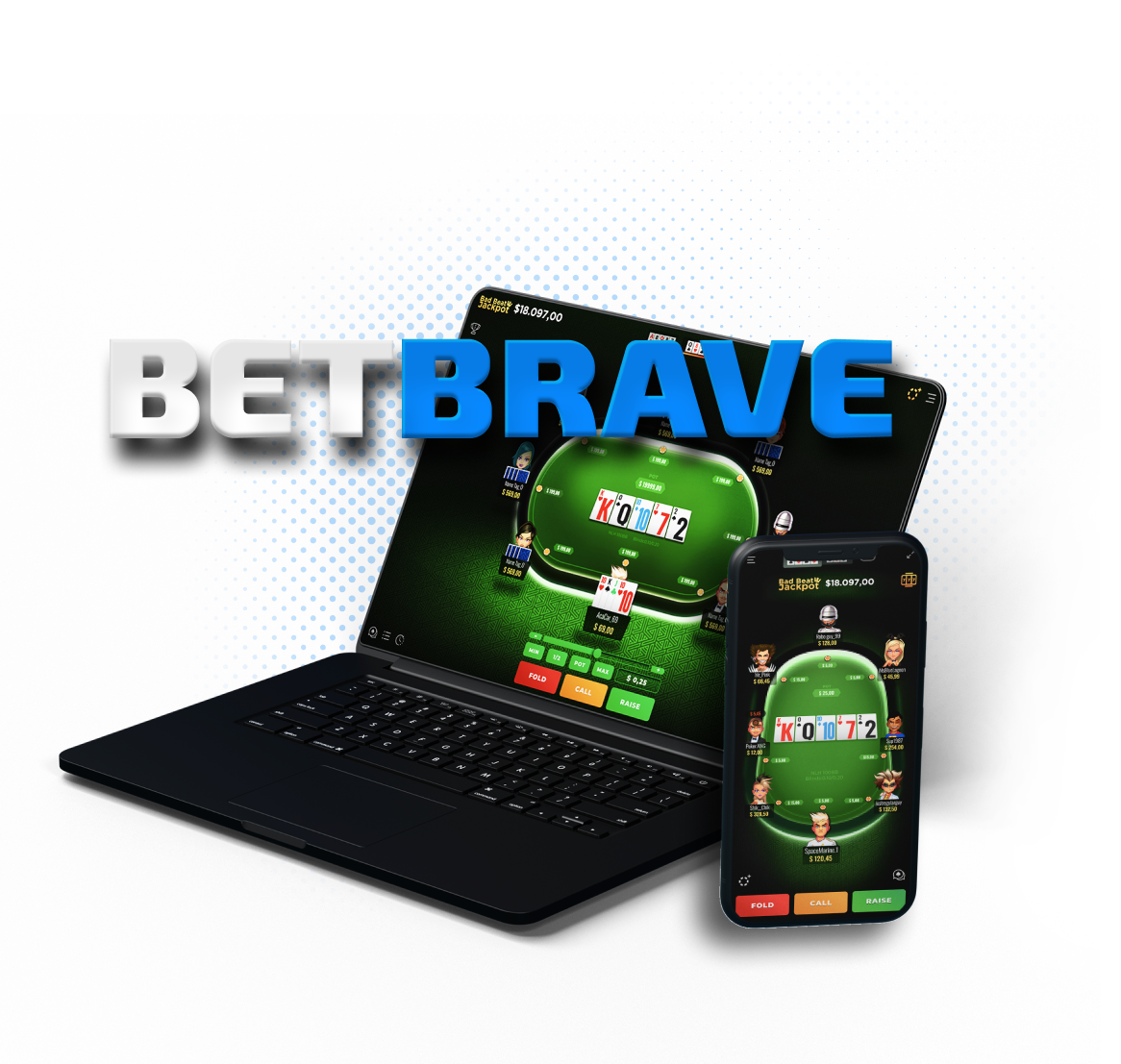 Software